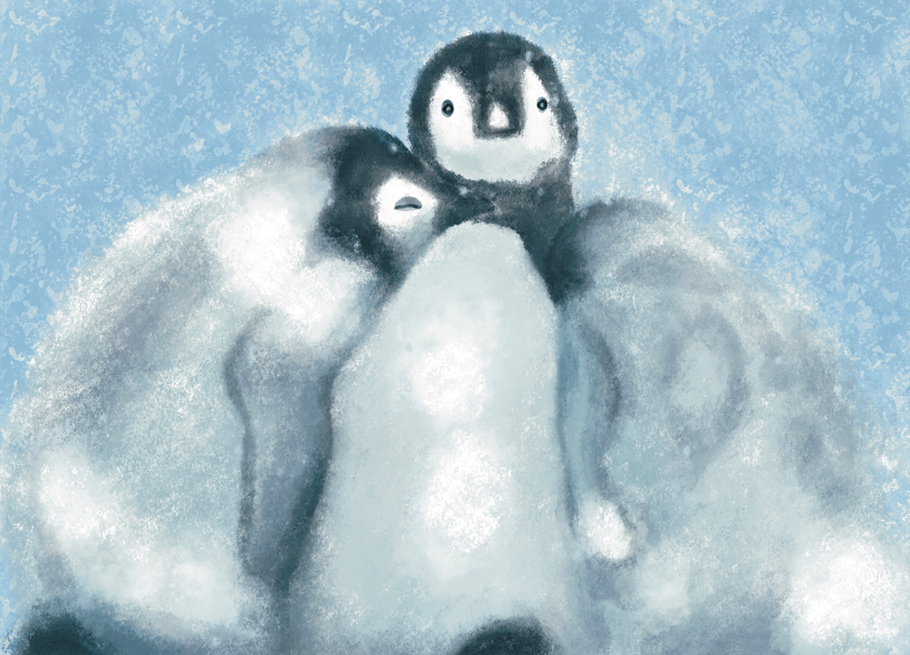 our 2021 Christmas cards. On the cover is an illustration of 3 penguine huddled together against a blue snowy background.